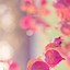 Image result for Cute Flower Phone Wallpaper