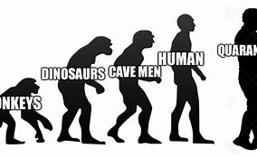 Image result for Human Evolution Meme