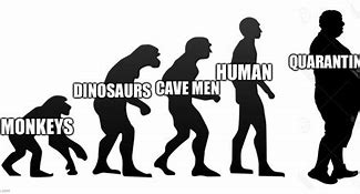 Image result for Human Evolving Meme