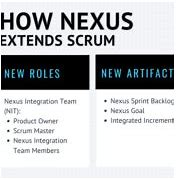 Image result for Nexus Integration Team