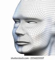 Image result for 3D Face Wireframe