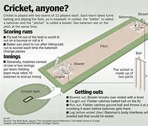 Image result for Cricket Items List
