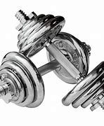 Image result for Chrome Dumbbells