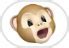 Image result for Transparent Animoji