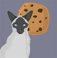 Image result for Cookie Cat Meme