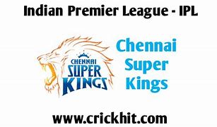 Image result for Chennai Super Kings Owner