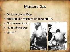 Image result for Mustard Gas WW1 Effects
