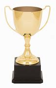 Image result for Stainless Steel Trophy Cup