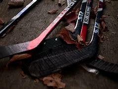 Image result for 2019 Hockey Sticks