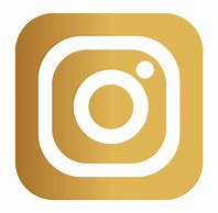 Image result for Facebook Instagram LinkedIn Gold Logo