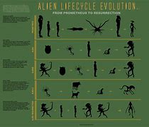 Image result for Xenomorph Evolution