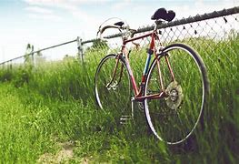 Image result for Cycle with Background Greengrass