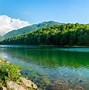 Image result for Crna Gora Jezero Biogradska Gora