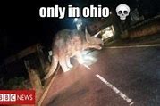 Image result for What Event in OH Meme
