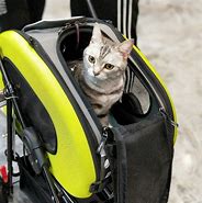 Image result for Cat Backpack Saddle Backpack