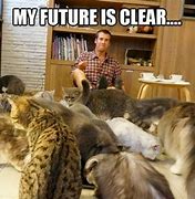 Image result for Crazy Cat Man Meme