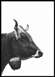 Image result for Bull Poster