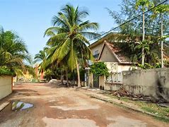 Image result for co_to_znaczy_ziguinchor