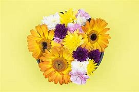 Image result for Flower Lay