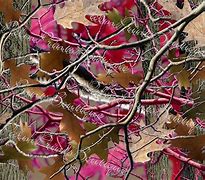 Image result for Pink Camo Pattern