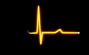Image result for Heart Rate Monitor Flatline
