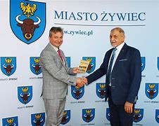 Image result for co_to_znaczy_zwojnica