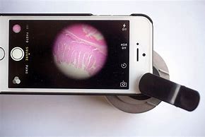 Image result for Phone Microscope DIY