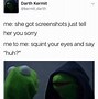 Image result for Sith Lord Kermit Memes