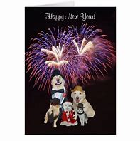 Image result for Happy New Year Cat and Dog