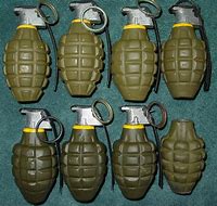 Image result for Grenade Explosive