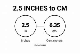 Image result for 2.5 Cm to Inches