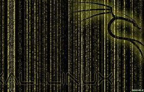 Image result for Kali Linux Hacker Wallpaper
