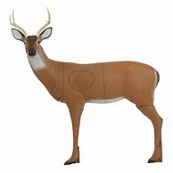 Image result for Deer Shooting Targets