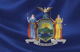 Image result for NY State Flag