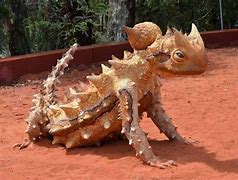 Image result for Most Scary Animals