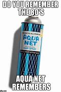 Image result for Aqua Net Meme