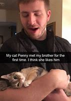 Image result for Funny Cat Profile Pics