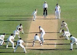 Image result for Free Cricket Never Does by Myra Livingston