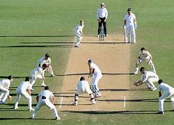 Image result for Test Match Cricket Game