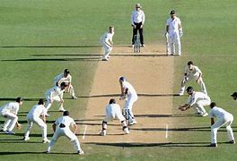 Image result for Cricket Pitch with Players