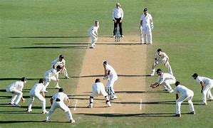Image result for Cricket Fielder Standing Pictures