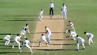 Image result for Fun Cricket Game