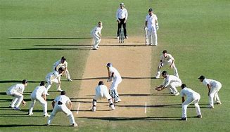 Image result for Cricket Person