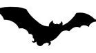 Image result for Halooween Bat Horror