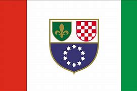 Image result for Zastava Bosne I Hercegovine