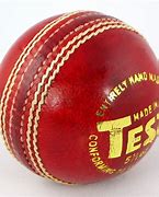 Image result for Cricket Ball Leather Polished Image