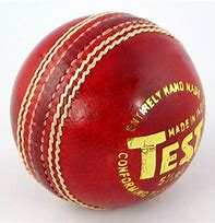 Image result for Practice Leather Cricket Ball