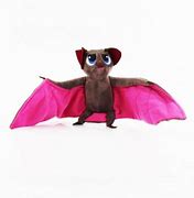 Image result for Vampire Bat Plush