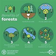 Image result for Forest Statistics