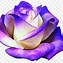Image result for Vicorian Rose Clip Art Purple